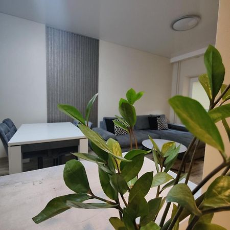 V15 Apartment Ντρουσκινινκάι Εξωτερικό φωτογραφία
