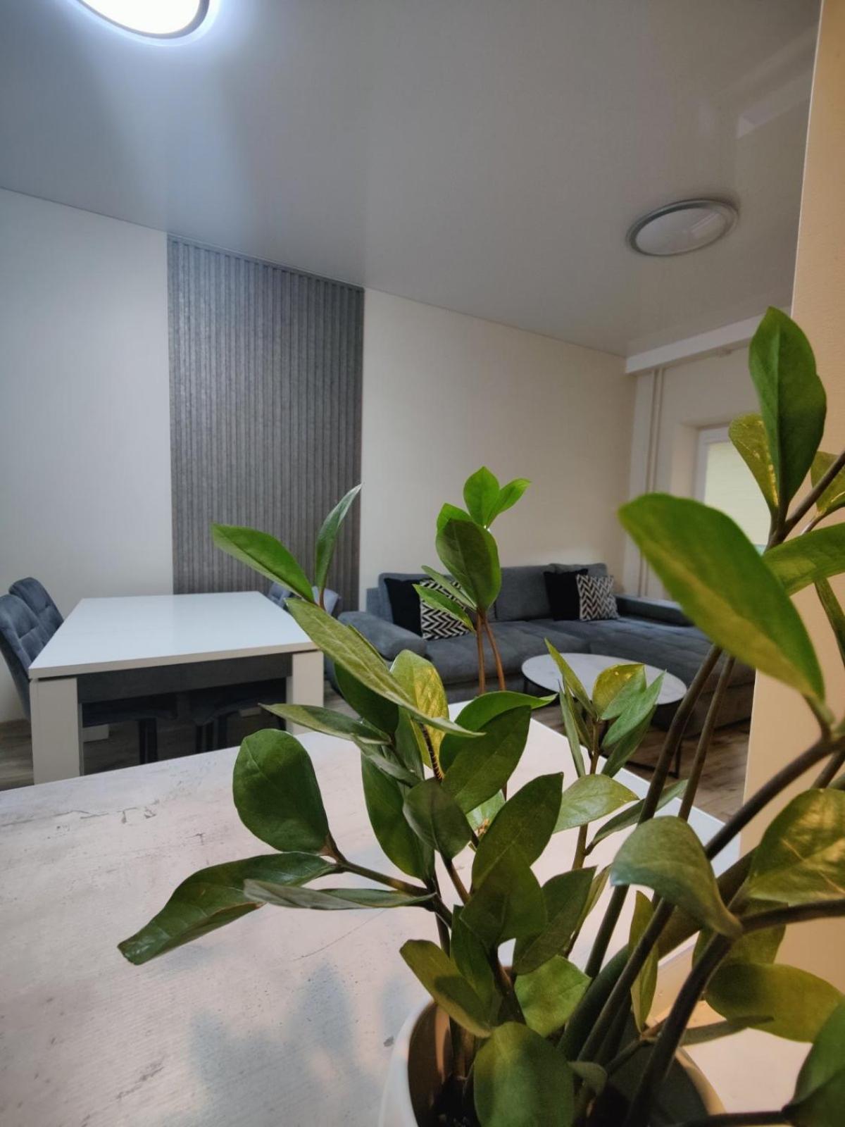 V15 Apartment Ντρουσκινινκάι Εξωτερικό φωτογραφία